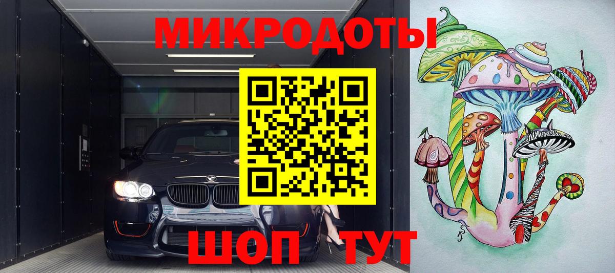 Псилоцибиновые грибы Psilocybe Балтийск